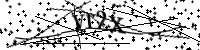 Tipee las letras de la imagen